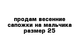 продам весенние сапожки на мальчика размер 25